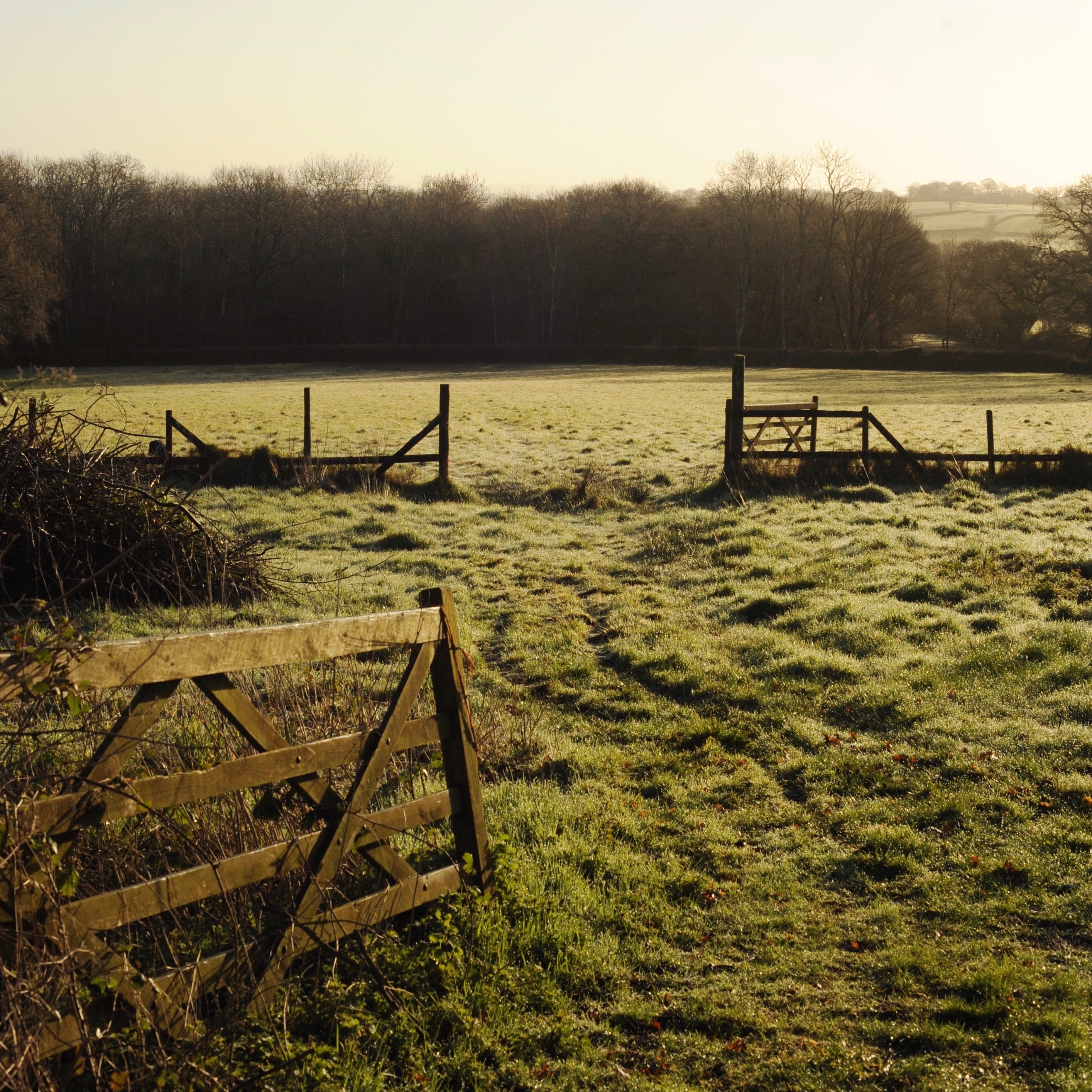 Closing, just for now