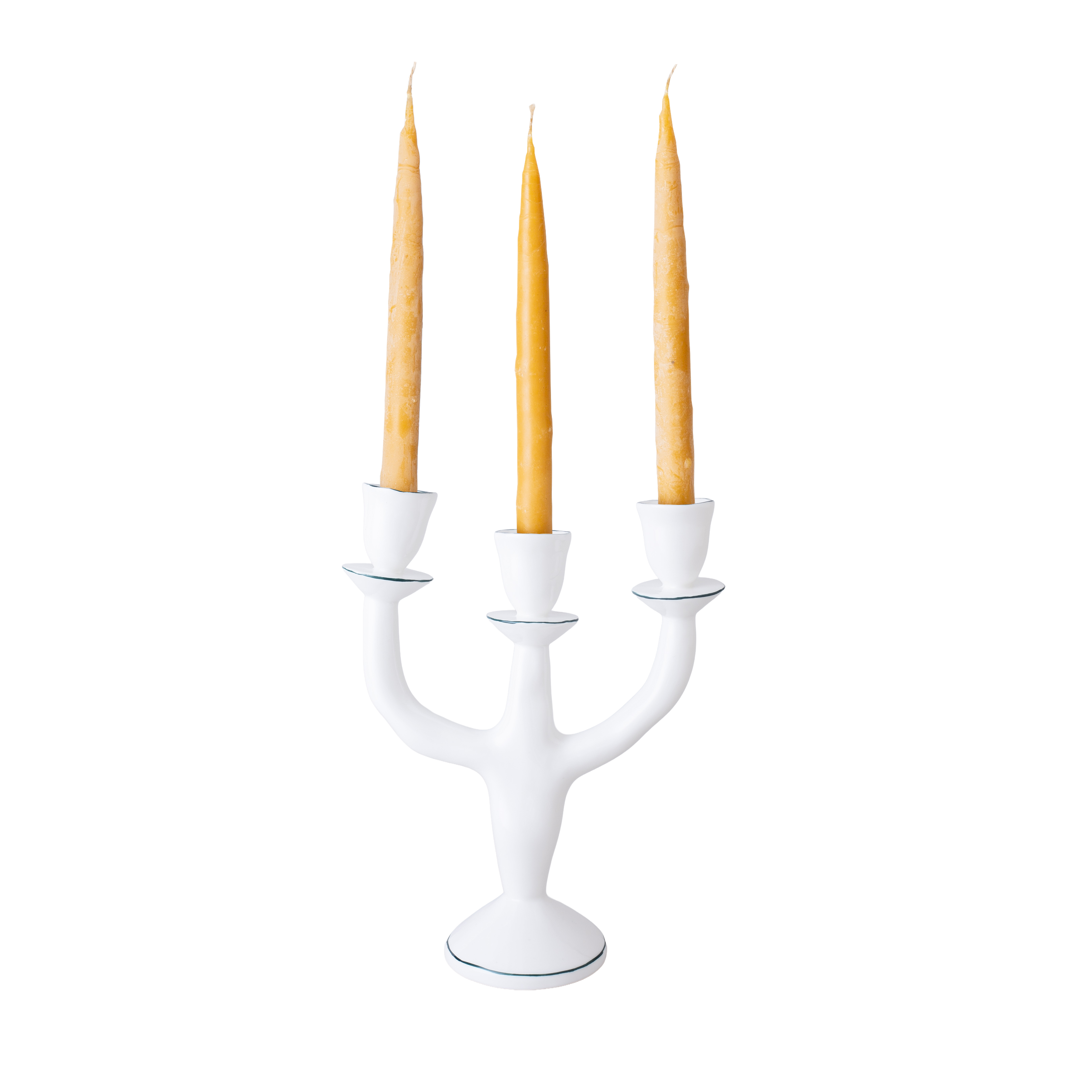 #colour_forest green