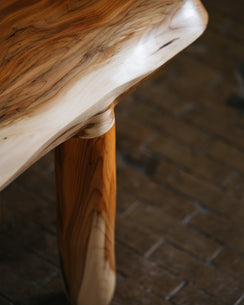 Bowerman's Bench