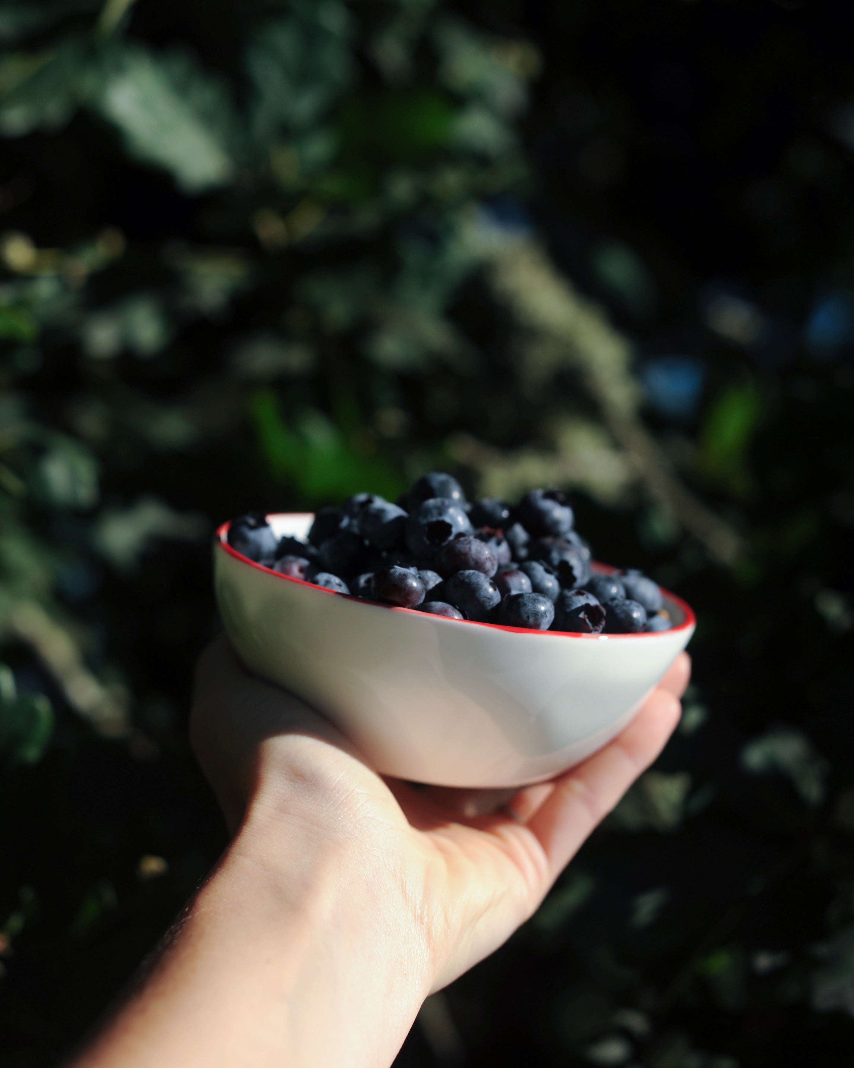 #colour_geranium red