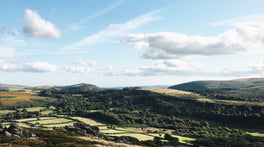 Summer in Devon