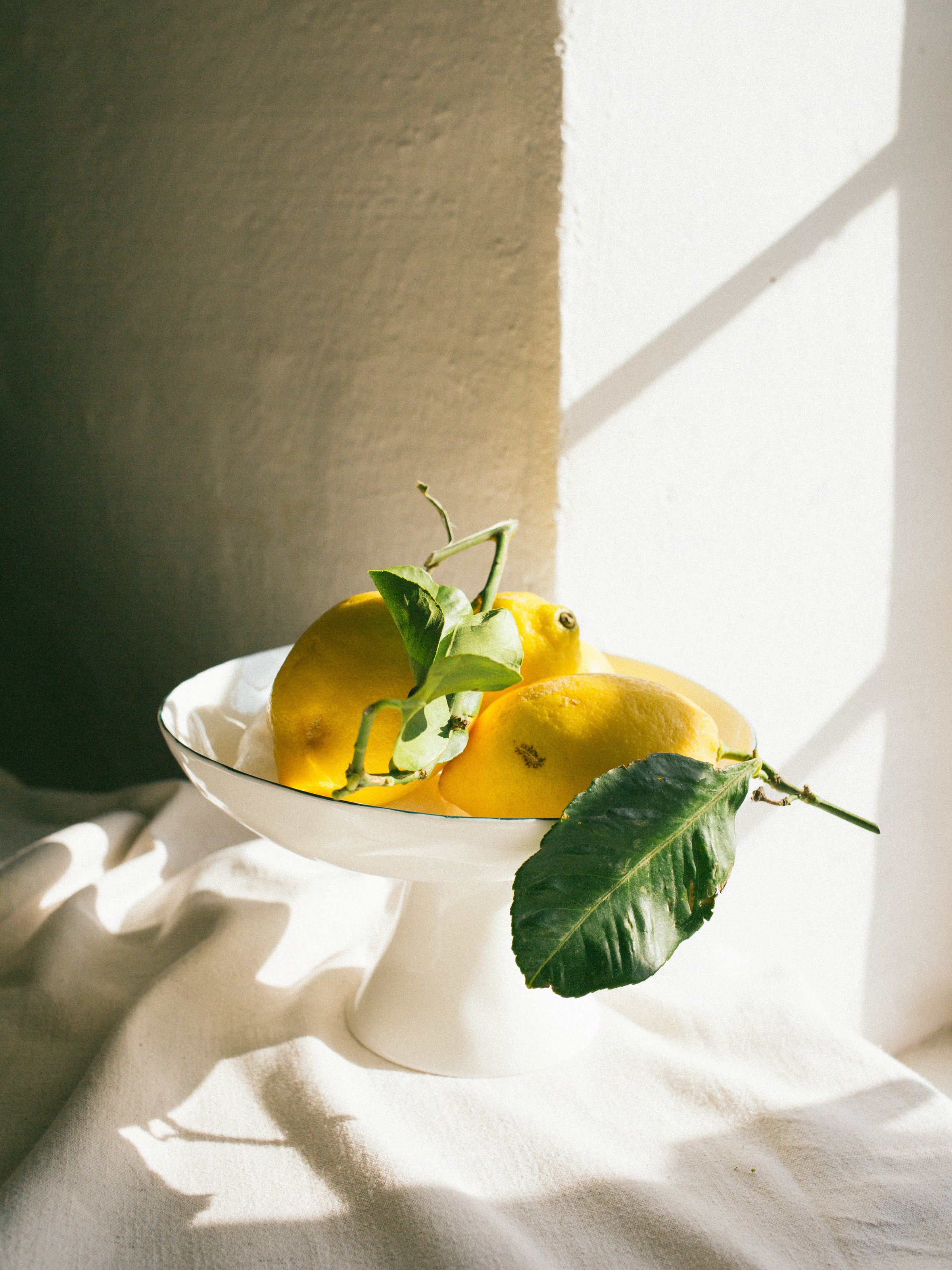 #colour_forest green