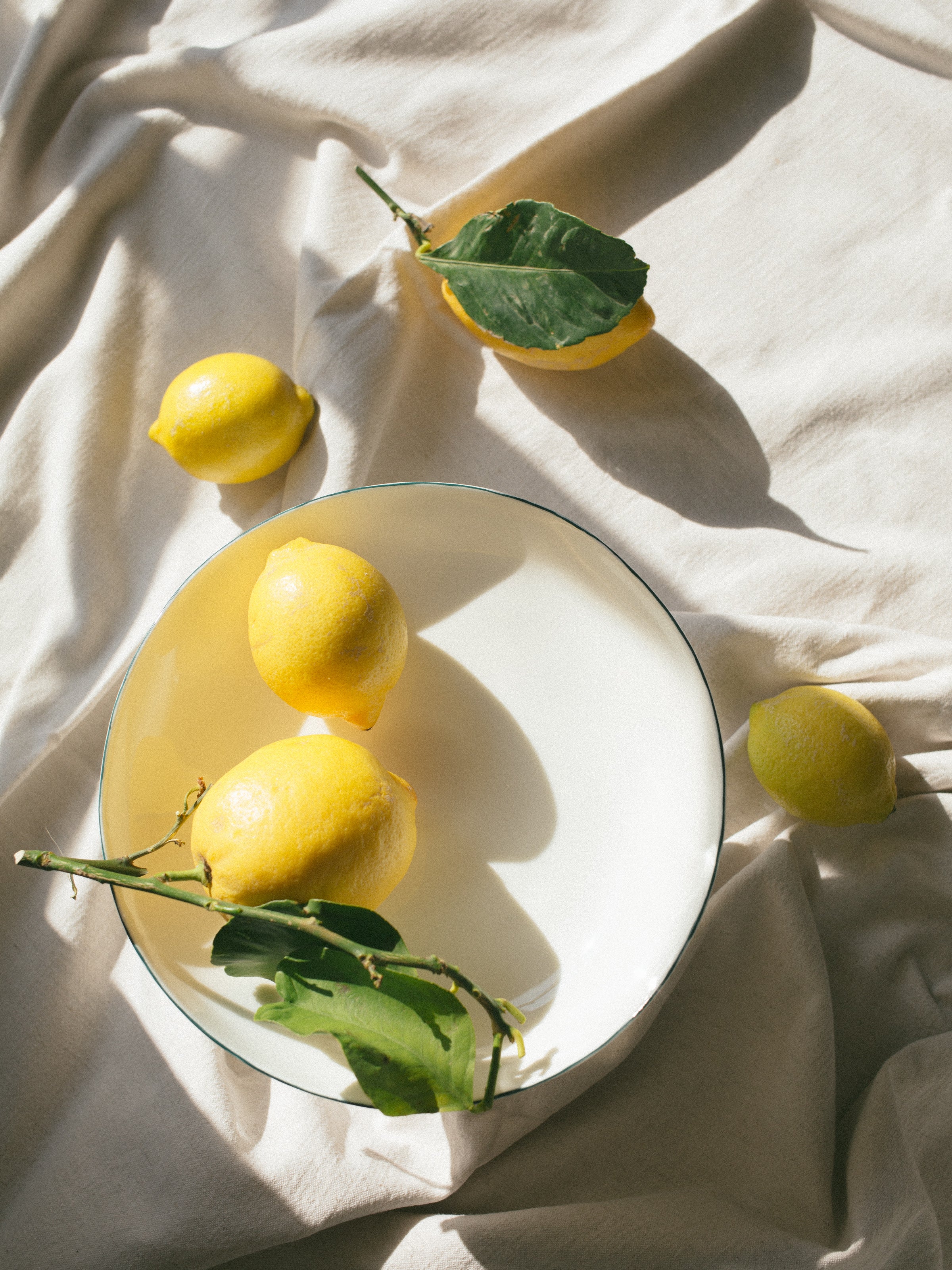 #colour_forest green